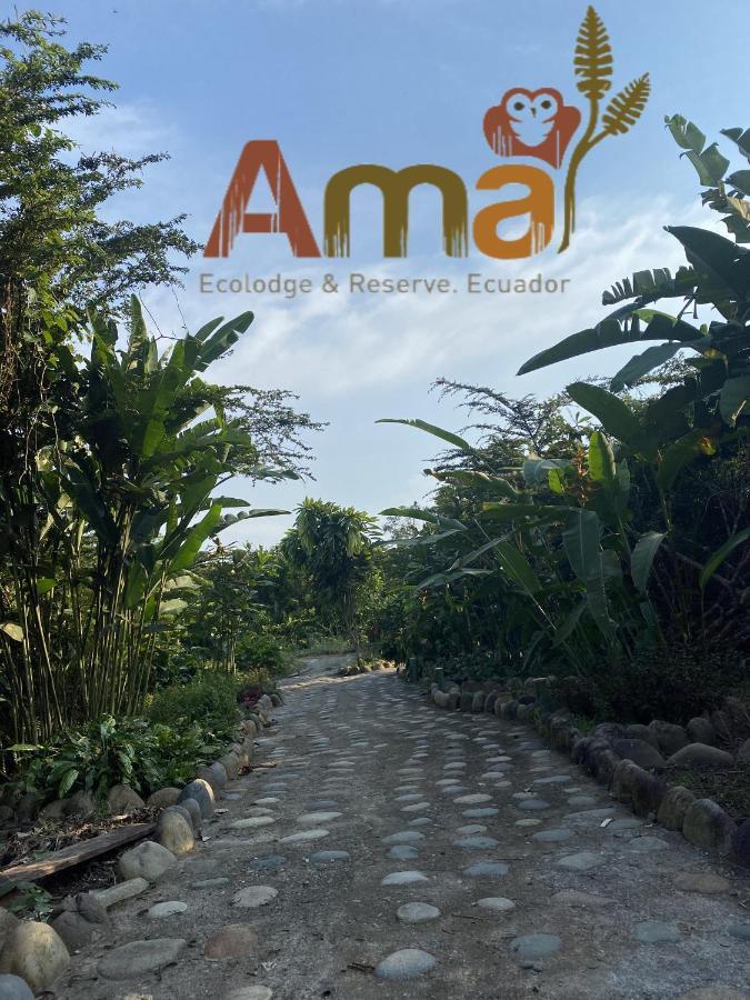 Ama Ecolodge Puerto Misahuallí Esterno foto